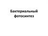 Бактериальный фотосинтез