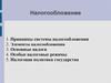 Налогообложение. Принципы налогообложения