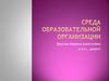 Среда образовательной организации