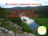 Фестиваль народных культур. Республика Башкортостан
