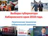 Выборы губернатора Хабаровского края 2018 года