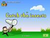 Catch the insects