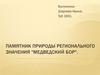 Памятник природы регионального значения "Медведский бор"