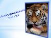 Амурский тигр – это Уссурийский тигр или дальневосточный