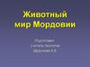 Животный мир Мордовии