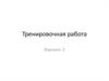Тренировочная работа. Вариант 3