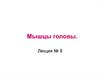 Мышцы головы. Лекция № 8