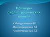 Примеры библиографических записей