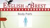 Body Parts