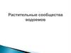 Растительные сообщества водоема