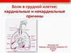 Боли в грудной клетке: кардиальные и некардиальные причины