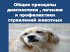 Общие принципы диагностики, лечения и профилактики отравлений животных