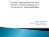 Система таможенных органов России: основные функции и принципы их взаимодействия