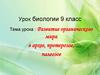 Развитие органического мира в архее, протерозое, палеозое