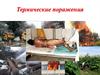 Ожоги и отморожения