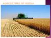 Agriculture of Russia
