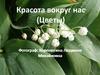 Красота вокруг нас (Цветы)