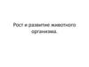Рост и развитие животного организма