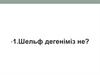 Шельф дегеніміз не?