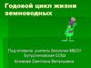Годовой цикл жизни земноводных