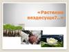 Растения вездесущи?