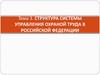 Структура системы управления охраной труда в Российской Федерации