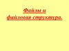 Файлы и файловая структура