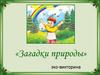 «Загадки природы», эко-викторина