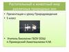 Растительный и животный мир различных природных зон