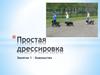 Простая дрессировка. Знакомство