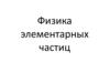 Физика элементарных частиц