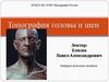 Топография головы и шеи