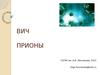 ВИЧ-инфекция. Прионные инфекции