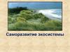 Саморазвитие экосистемы
