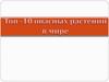 Топ-10 самых опасных растений в мире