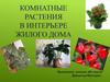 Комнатные растения в интерьере жилого дома