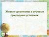Приспособляемость живых организмов к суровым условиям Антарктиды