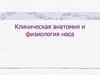 Клиническая анатомия и физиология носа