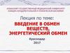 Введение в обмен веществ. Энергетический обмен