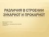 Различия в строении эукариот и прокариот