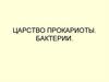 Царство Прокариоты. Бактерии