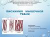 Биохимия мышечной ткани