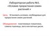 Лабораторная работа №1. «Условия прорастания семян растений»