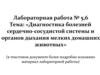 Диагностика болезней сердечно-сосудистой системы и органов дыхания у мелких домашних животных