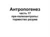 Антропогенез. Пре-палеоантропы: торжество разума. (часть 17)