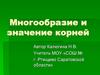 Многообразие и значение корней