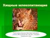 Хищные млекопитающие