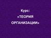 Теория организации