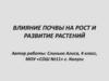 Влияние почвы на рост и развитие растений