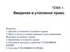 Введение в уголовное право
